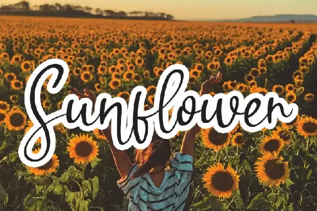 Sunflower Handwritten font