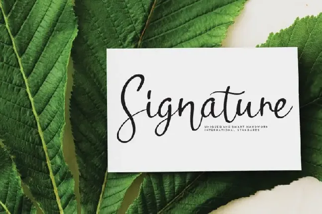 Sunflower Handwritten font