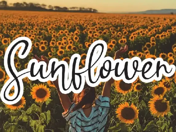 Sunflower Handwritten font