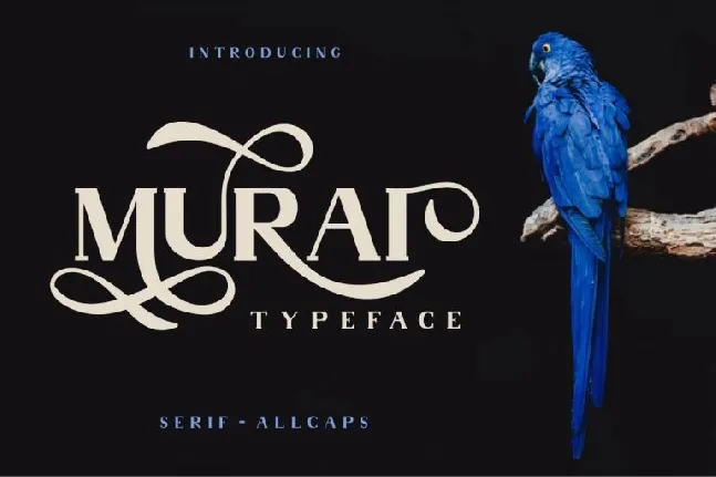 Murai Typeface font