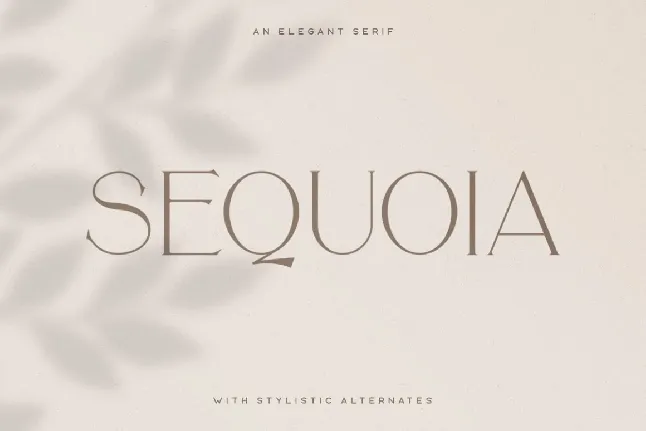 Sequoia font