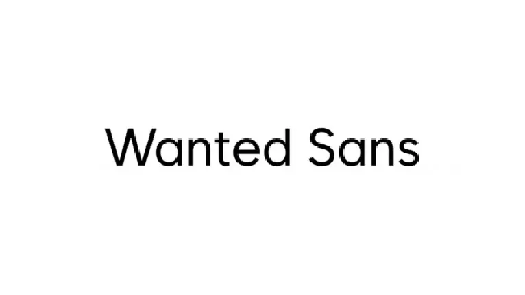 Wanted Sans Family font