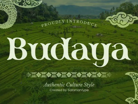 Budaya font