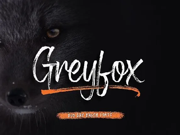 Greyfox Brush font