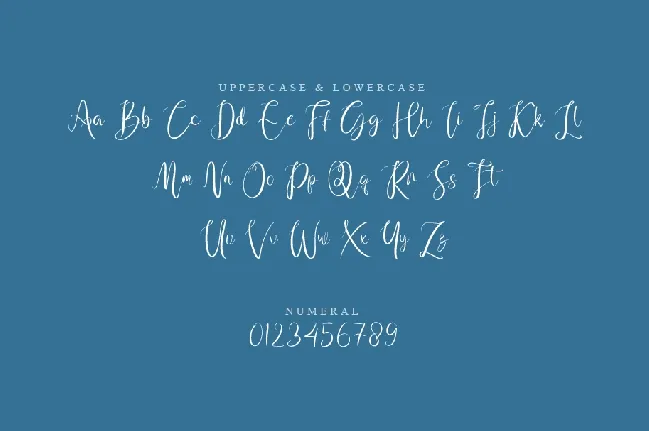 Napet font