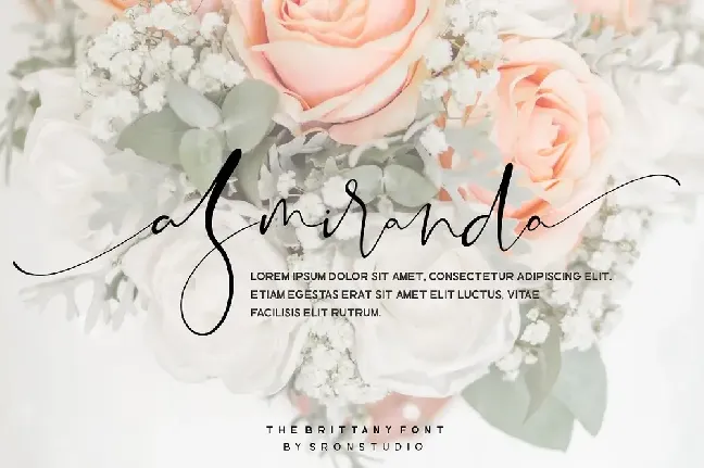 The Brittany Trio font