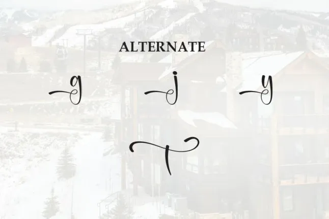 Homestay Script Typeface font