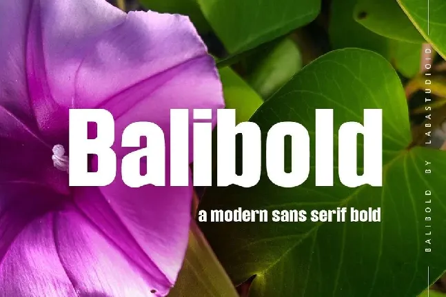 Balibold font