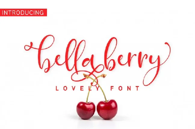 BellaBerry Script font