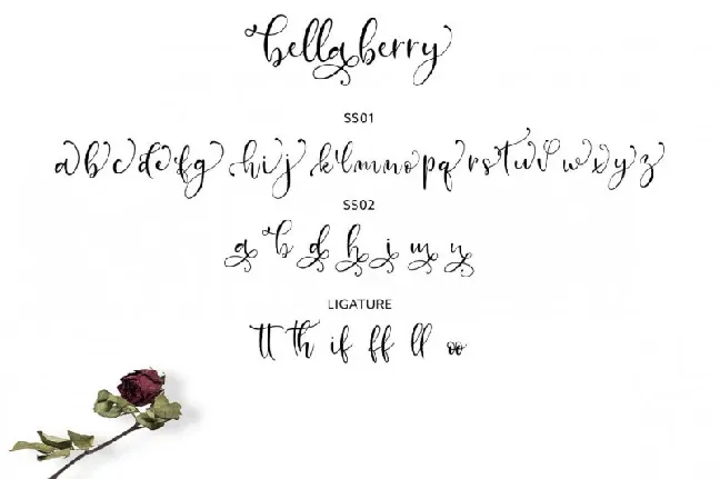 BellaBerry Script font