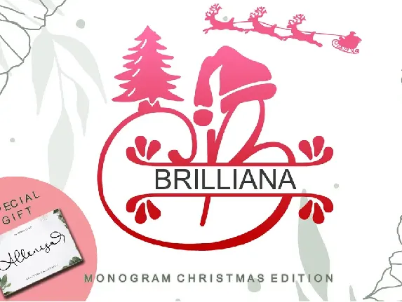 Brilliana Monogram font