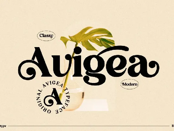 Avigea Modern Serif Display font