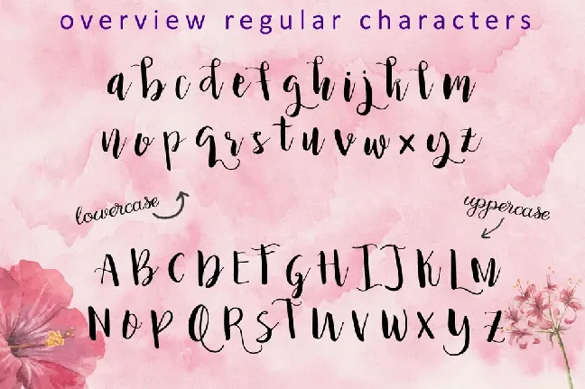 Princess Ivy Script Free font