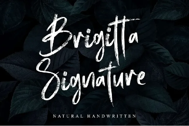 Brigitta Signature font