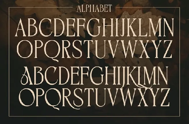 Bikave font