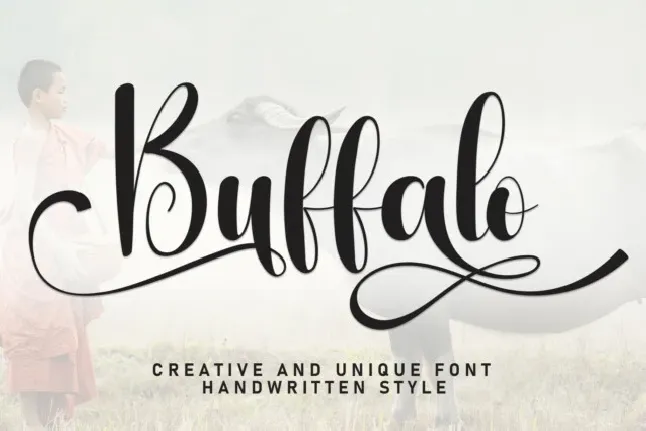 Buffalo Typeface font