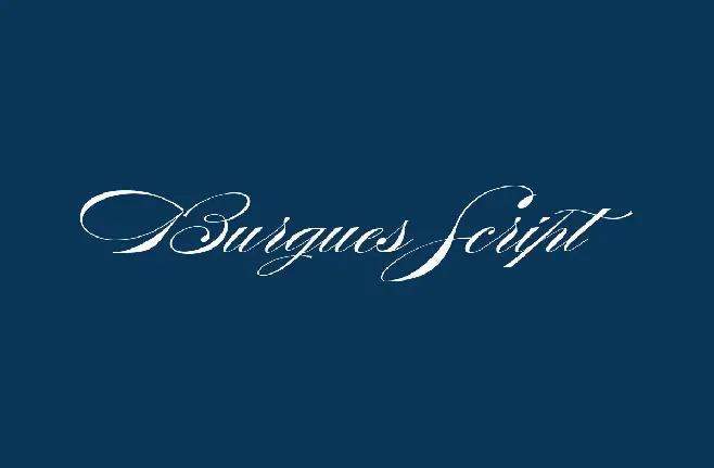 Burgues Script W00 Regular font