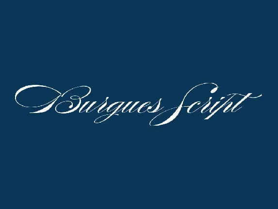 Burgues Script W00 Regular font