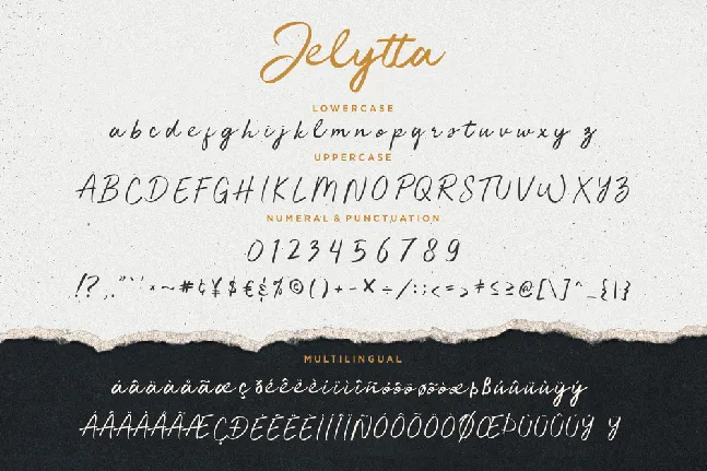 Jelytta font