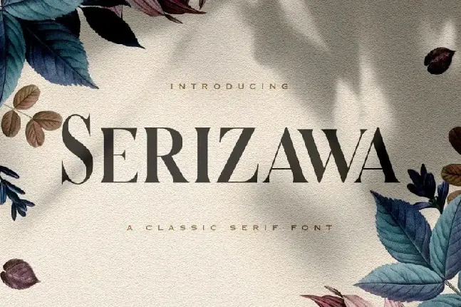 Serizawa Serif font