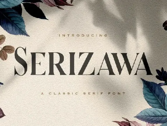 Serizawa Serif font