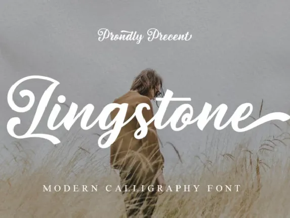 Lingstone font