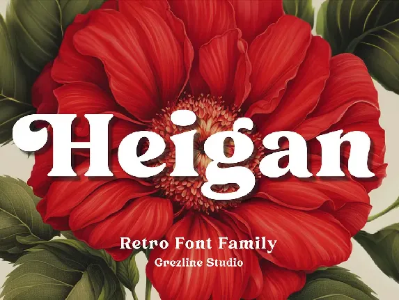 Heigan font