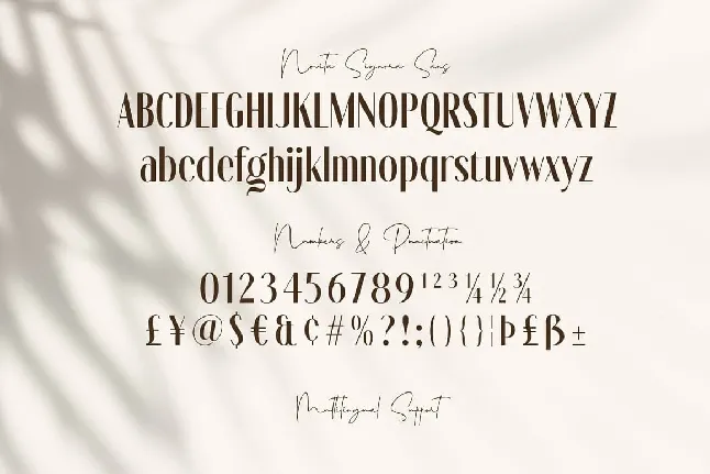 Novita Duo font