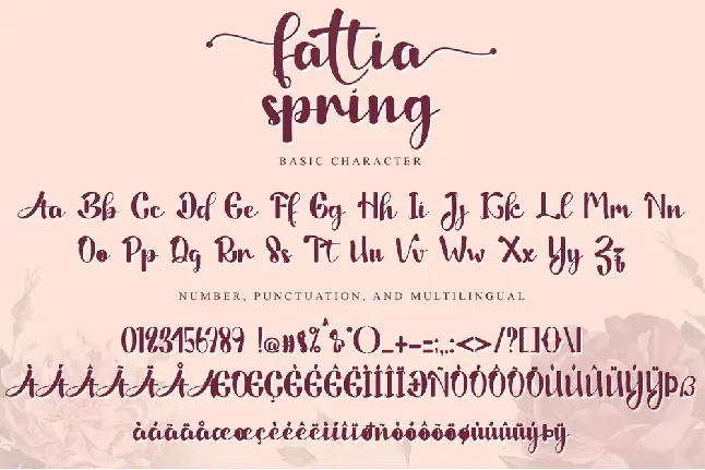 Fattia Spring - PERSONAL USE font