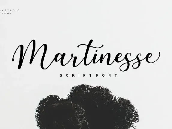 Martinesse Script font