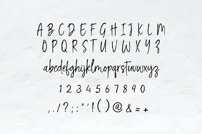 Renita Montes font