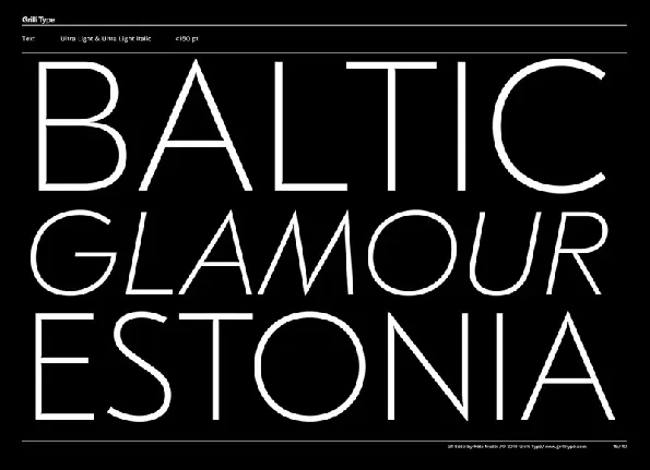 GT Eesti Family font