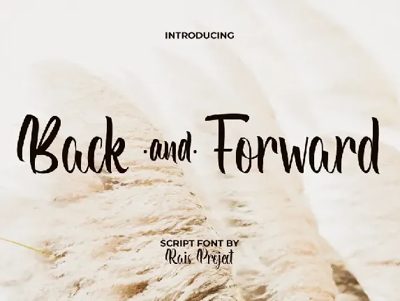 Back and Forward font