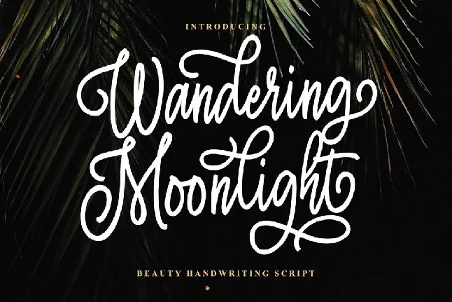 Wandering Moonlight font