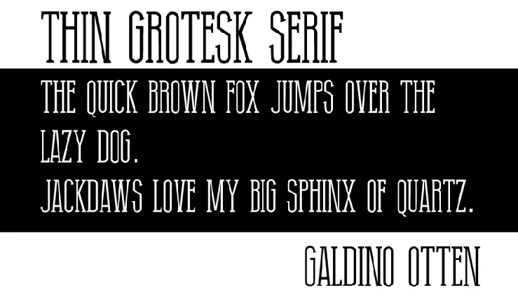 Thin Grotesk Serif font