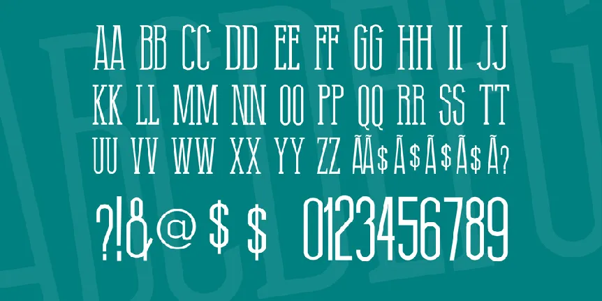 Thin Grotesk Serif font