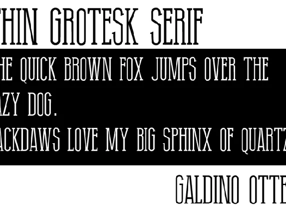 Thin Grotesk Serif font