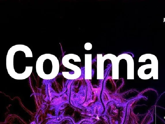 Cosima Sans Family font