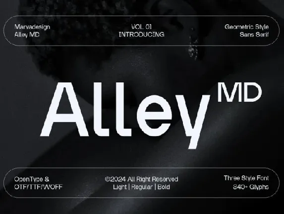 Alley MD font