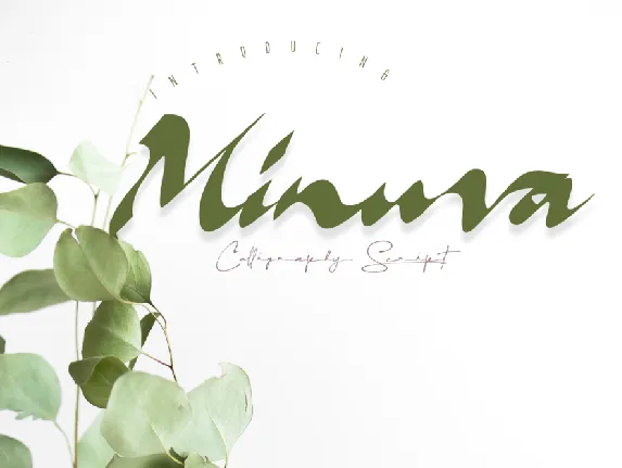 Minuva font