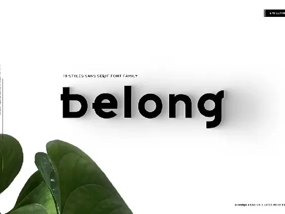 Belong Family font