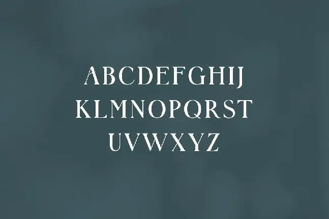 Font207