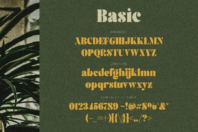 Brolike Typeface font