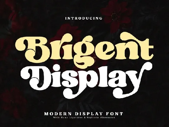 Brigent Display font