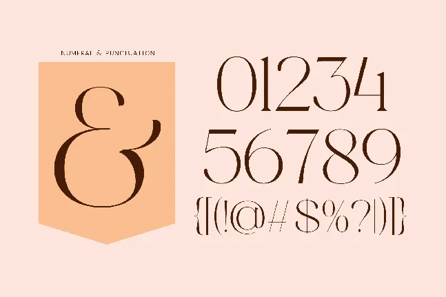 Gofak Classy font