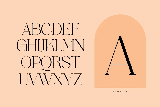 Gofak Classy font