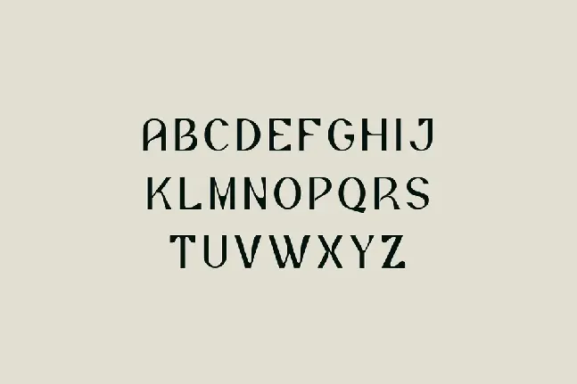 Font211