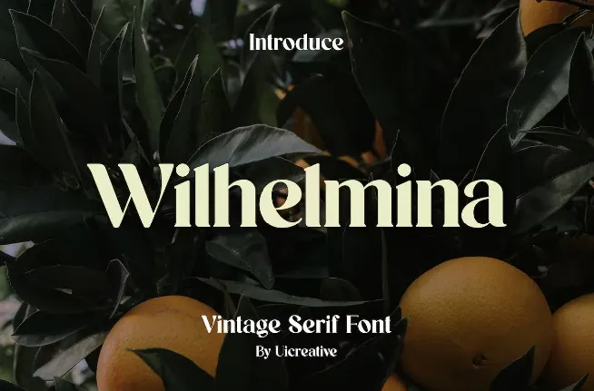 Wilhelmina font