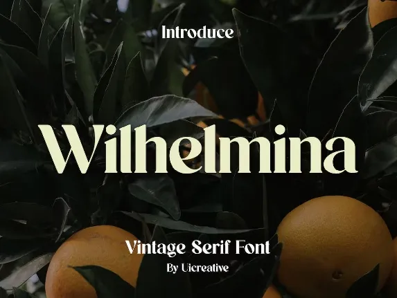 Wilhelmina font