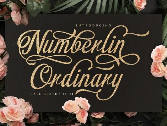 Numberline Ordinary font